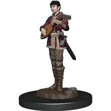 D&D Miniatures: Icons of the Realms Half-Elf Bard Female