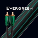 AudioQuest Evergreen 2x CINCH - 2x CINCH 0,6m
