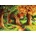 Enjoy - Puzzle Tree House - 1 000 piese