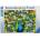 Ravensburger Пъзел Ravensburger от 2000 части - Паун (16567)