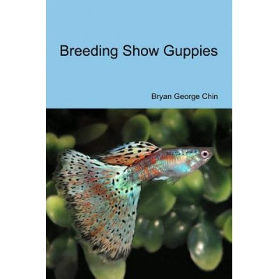 Breeding Show Guppies | Bryan George Chin
