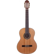 Prodipe Guitars Primera 3/4