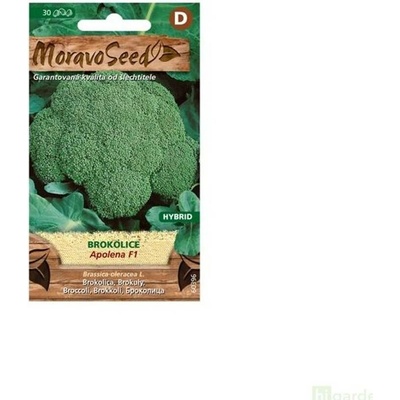 Semínka MoravoSeed Brokolice APOLENA F1 hybrid 30s