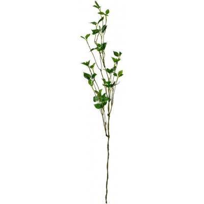 Dekorácia hnedá vetvička so zelenými lístkami - 19*10*116 cm - Clayre & Eef