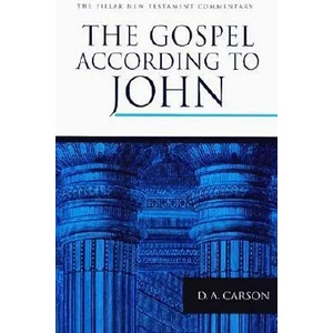Gospel According to John | D. A. Carson, D. A. Carson (ISBN: 9780802836830)