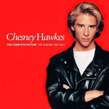 HAWKES, CHESNEY - THE COMPLETE PICTURE THE ALBUMS 1991-2012 CD