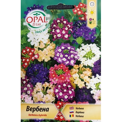 Opal Zi Вербена микс Verbena x hybrida