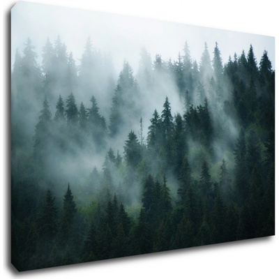 Impresi Obraz Les v mlze - 90 x 60 cm