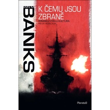 K čemu jsou zbraně - Banks Iain M.