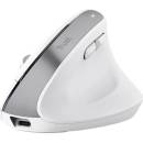Trust Bayo+ Multidevice Ergonomic Wireless Mouse 25399