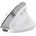 Trust Bayo+ Multidevice Ergonomic Wireless Mouse 25399