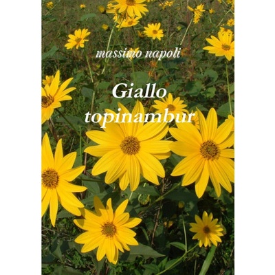 Giallo topinambur