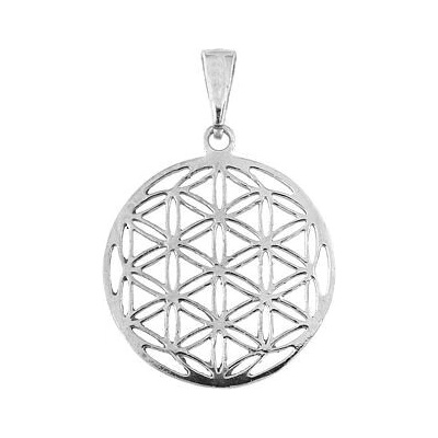 Infinitysilver Stříbrný přívěsek květ života 441629