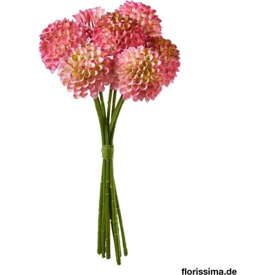 Florissima! Dáhlia zväzok , 30cm