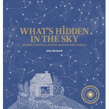 What's Hidden in the Sky: Animal Constellations Around the World Shine a Light Books for Children; Kids Interactive Books