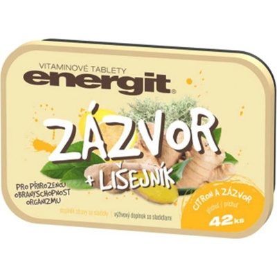 Energit Zázvor a lišejník 42 tablet