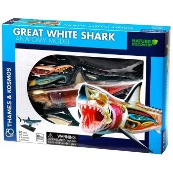 Image 1 of Thames & kosmos - Конструирай анатомичен модел на бяла акула (261110)