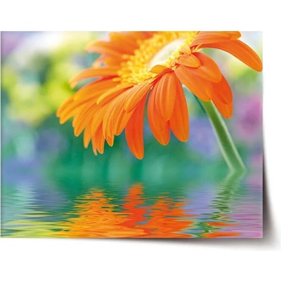 Sablio Plagát Oranžová gerbera - 60x40 cm