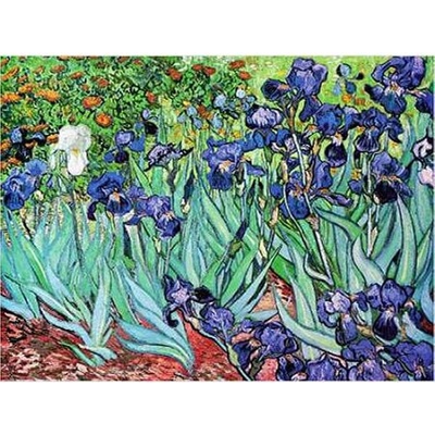 D-Toys Vincent van Gogh Kosatce 1000 dielov
