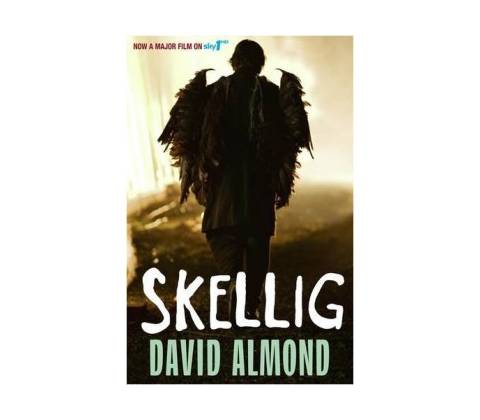 Skellig - David Almond