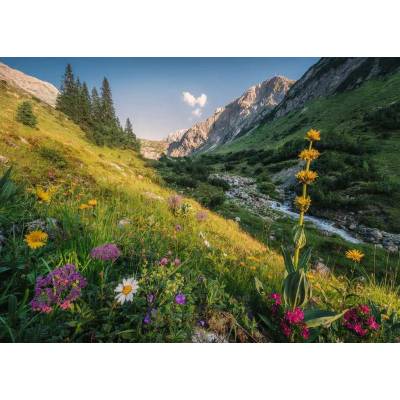 Ravensburger - Puzzle Magical Valley - 1 000 piese