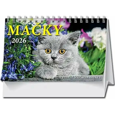 MAČKY, stolový 2026
