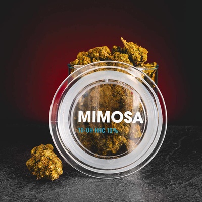 Kratom World Květy Mimosa 10-OH HHC 10% 1g THC do 1% – Zboží Mobilmania