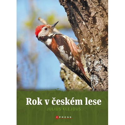 Rok v českém lese