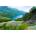 Norimpex - Puzzle Diamant painting: Lake in a mountain valley 30x40cm - 1 - 39 piese
