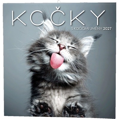 Kočky nástěnný 2027