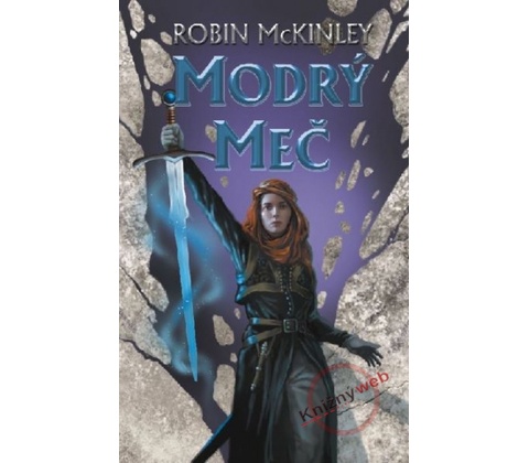 Modrý meč - Robin Modrý meč