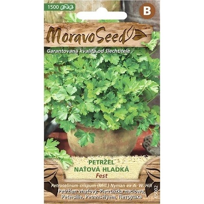 Petržlen vňaťový hladký FEST MoravoSeed