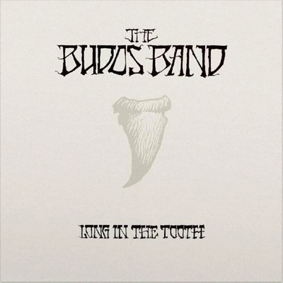Long in the Tooth - The Budos Band LP