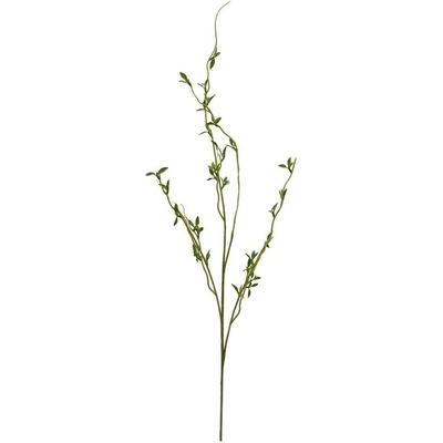 KONÁR VŔBA, ZELENÉ LÍSTKY 111CM