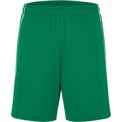 DA Daiber BER JN 387 pánské týmové kraťasy green/white