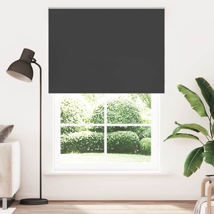 vidaXL Ролетна щора Blackout Black 165x210 cm Ширина на плата 161, 6 cm (4010933)