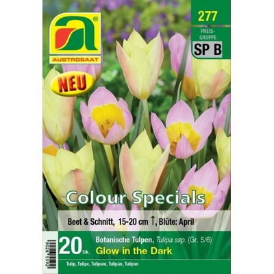 AUSTROSAAT Botanické tulipány Glow in the Dark - 20 cibúľ