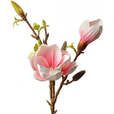 Dekorácia umelá vetvička Magnólie s ružovými kvetmi - 17*11*70 cm - Clayre & Eef
