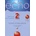 ECHO 2 FICHIER + CD