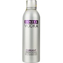 Danzka Currant 40% 1 l (holá láhev)