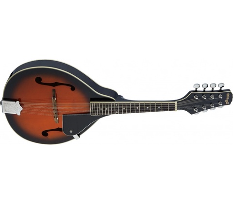 Stagg M20 S