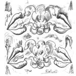 What Are People For? & The Notwist - Criminals / Illusions (7") (0880918266213)