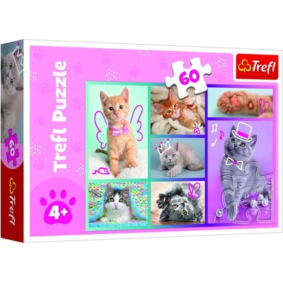 TREFL Roztomilá koťátka 60 dielov