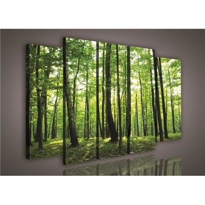 Obraz na plátne, rozmer 150 x 100 cm, les, IMPOL TRADE 1128S12