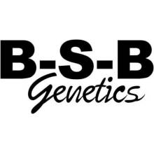 B-S-B Genetics Five Alive semena neobsahují THC 1 ks