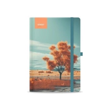 STREET Бележник с ластик Enchanted B5 96л тв. корици