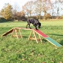 Trixie Agility lávka 456 x 64 x 30 cm do 80kg