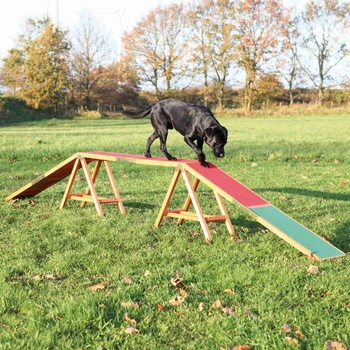 Trixie Agility lávka 456 x 64 x 30 cm do 80kg