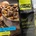 Adventure Menu Телешки гулаш с картофи 400 г