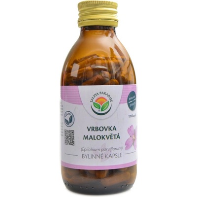 Salvia Paradise Vrbovka malokvětá 120 kapsúl